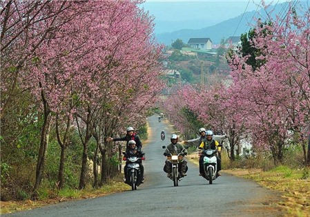 Du lịch Đà Lạt – Cẩm nang du lịch Đà Lạt từ A đến Z