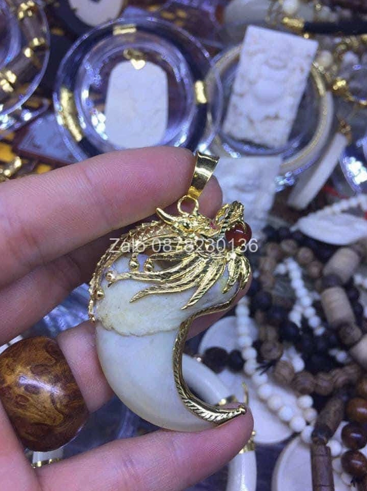 móng cọp bọc vàng 18 đầu rồng ngậm ngọc