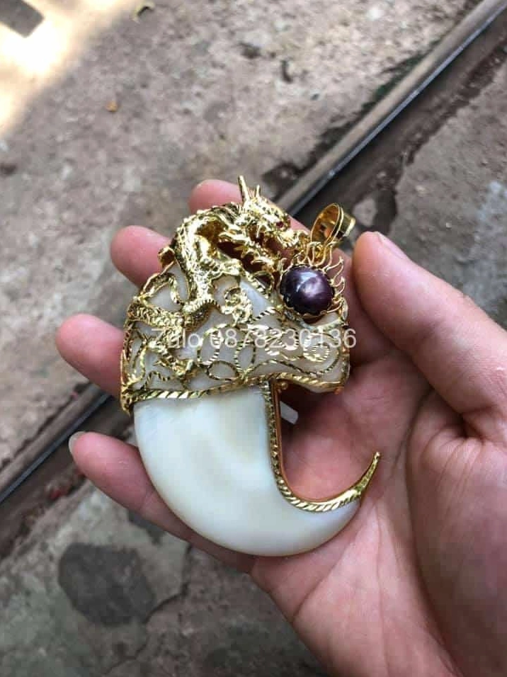 móng cọp bọc vàng 24k rồng nhả ngọc ruby